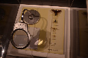 Wasp_exhibition__DSC3454
